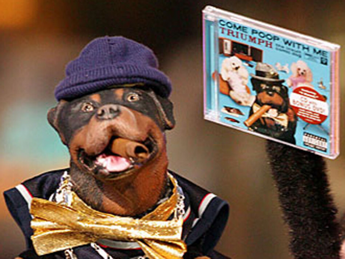 Triumph the Insult Comic Dog at Sydney Goldstein Theater